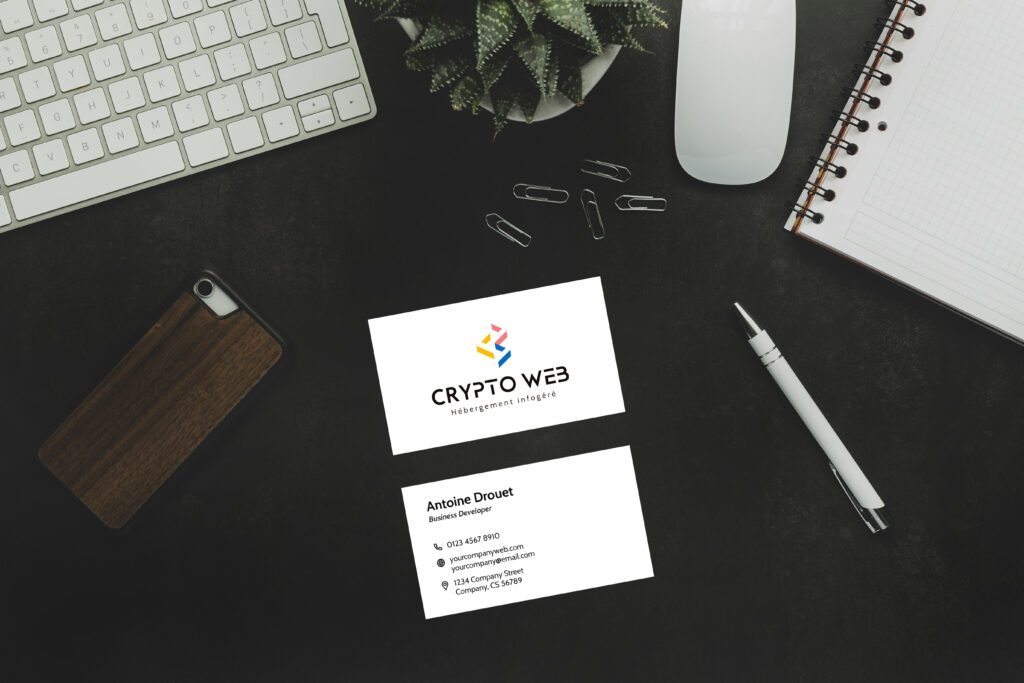 Graphiste freelance Rouen - Cryptoweb - Charte graphique